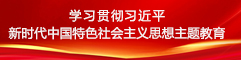 學(xué)習(xí)貫徹習(xí)近平新時(shí)代中國(guó)特色社會(huì)主義思想主題教育